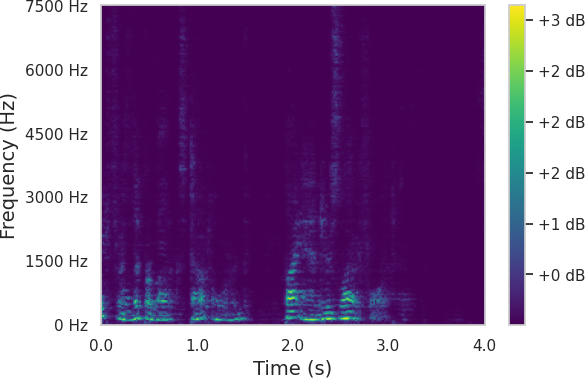 Spectrum 8